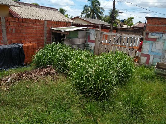 Urgente pra vender logo terreno