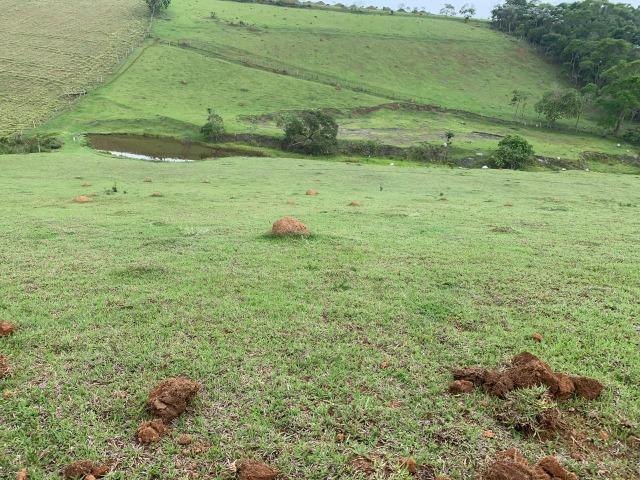 Lotes de terrenos com 5 mil metros - ideal para sua chacara,preço indiscutivel!!! - Foto 12