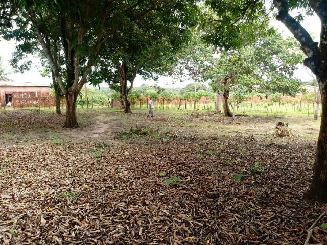 Oportunidade abaixo de mercado de sitio no Laranjal! - Foto 7