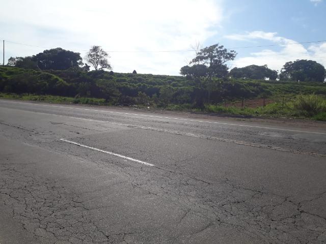 Área 20.000 m2 ao lado da walita em frente à rodovia BR 491 - Foto 10