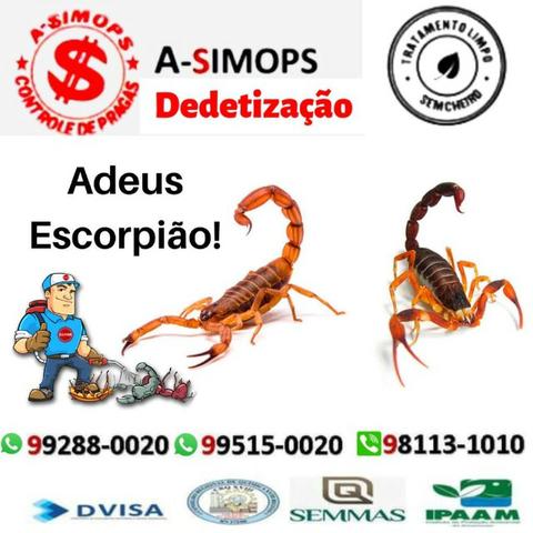 Profissionais em campo, ligue já Asimops *