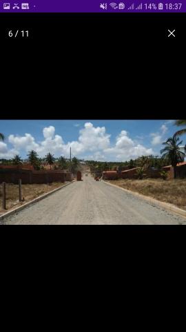 Terreno PEROBA Maragogi - Foto 4