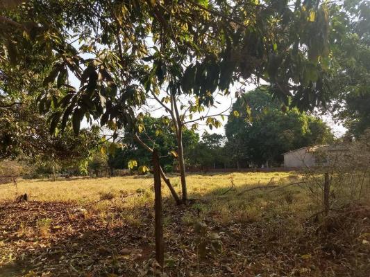 Chácara à venda, 4000 m² por r$ 230.000 - san diego - goianira/go - Foto 8