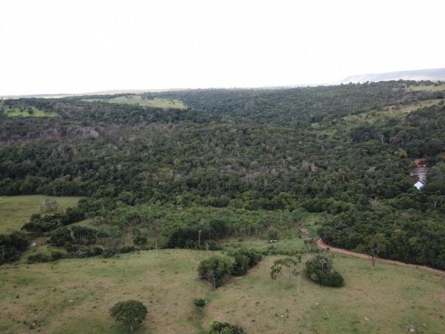 35 Alq. Beira Rio. Morrinhos-GO. Boa de Terra e Água! - Foto 7