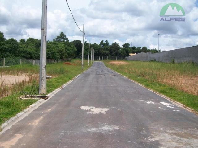 Terreno residencial à venda, braga, são josé dos pinhais. - Foto 5