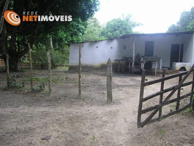 Fazenda com 52,5 Hectares com Fábrica de Azeite de Dendê à Venda na Ilha de Boipeba 402074 - Foto 13