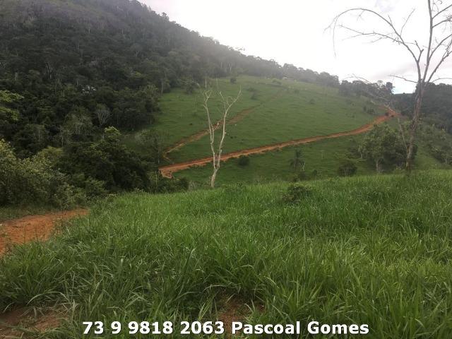 Fazenda a venda Bahia 30 hectares