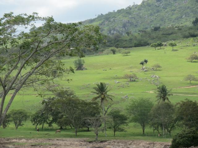Facilito!! Oportunidade de terreno: Serra Negra - registrado 1.950m2 - Foto 10