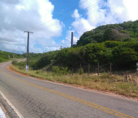 8.000m2 na Cabeceira da Baía dos Golfinhos - Escriturado - Loteamento a venda - Foto 5