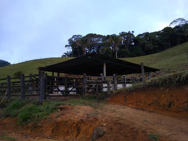 Fazenda Viana 20 alqueires - Foto 5