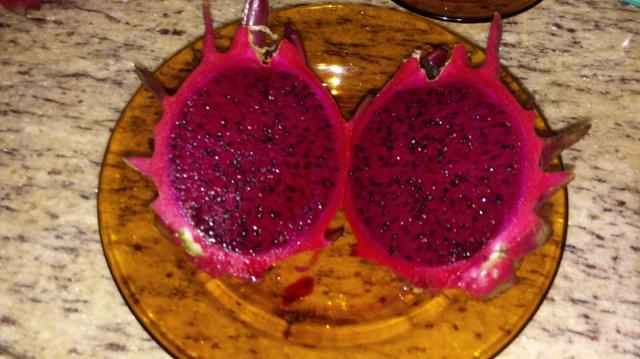 Mudas de pitaya/pitaia polpa vermelha e branca - Foto 4