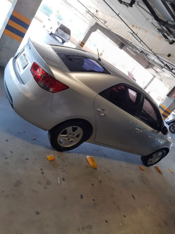 cerato