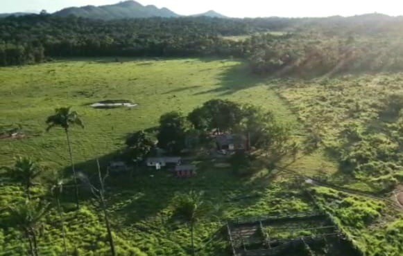 Fazenda de 360 hectares em Iracema/RR| ler a descrição do anuncio