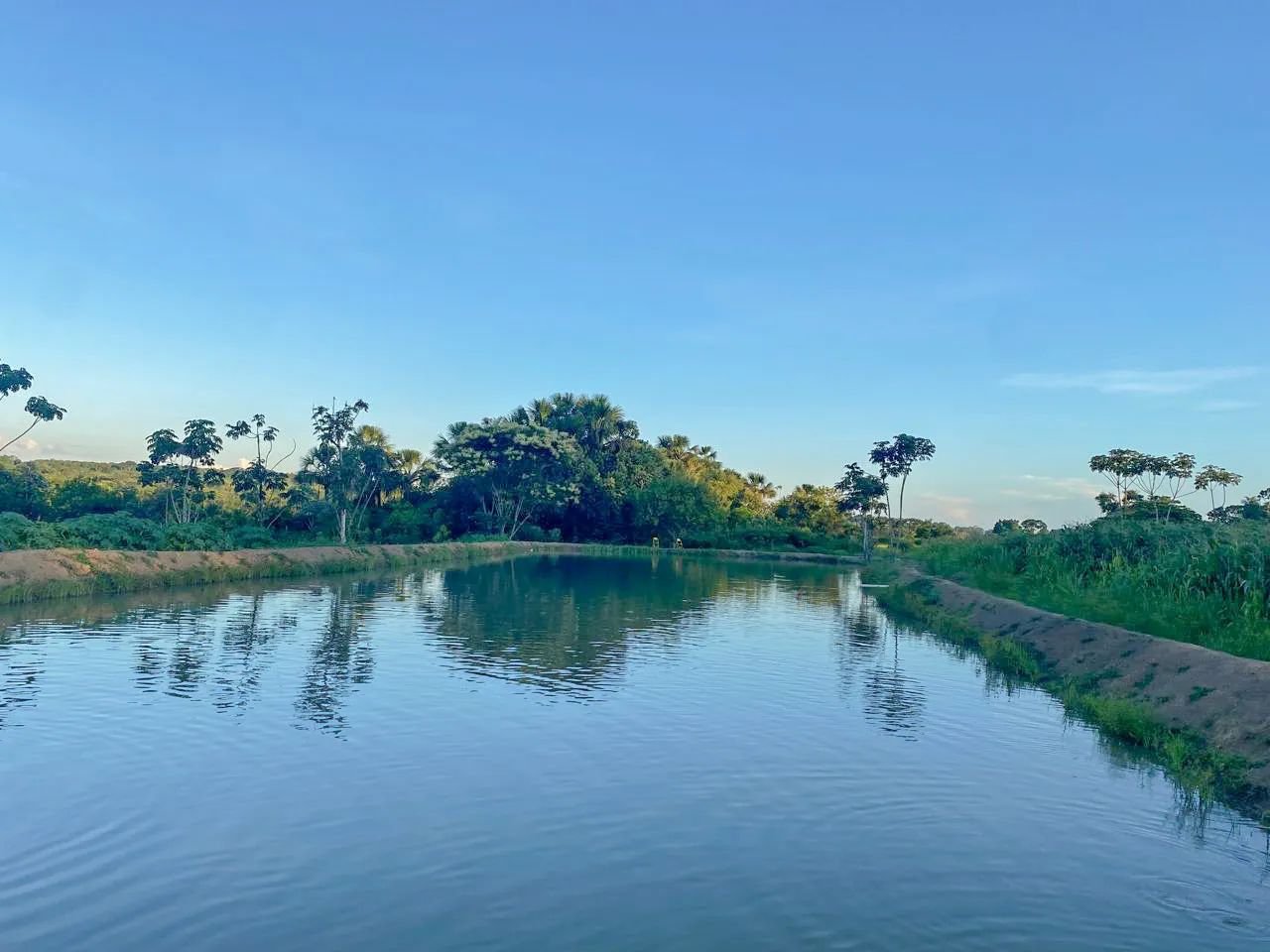 foto - Goiânia - Setor Bueno