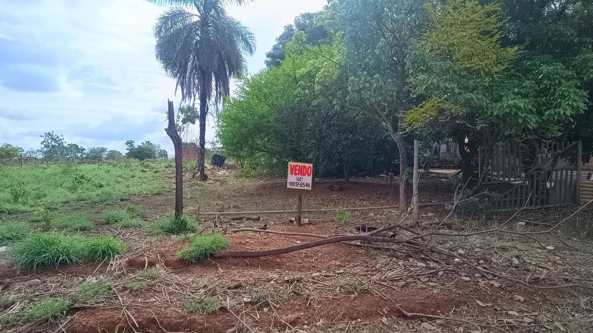 foto - Goiânia - Carolina Parque