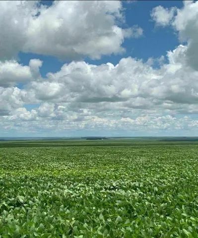 Fazenda de 16.943 ha em Primavera do Leste- MT - Foto 3