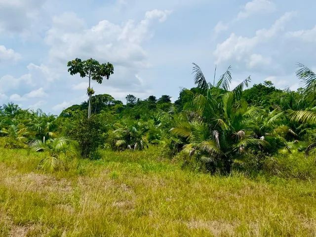 Terreno, 1.650.000m² em Benevides. - Foto 4