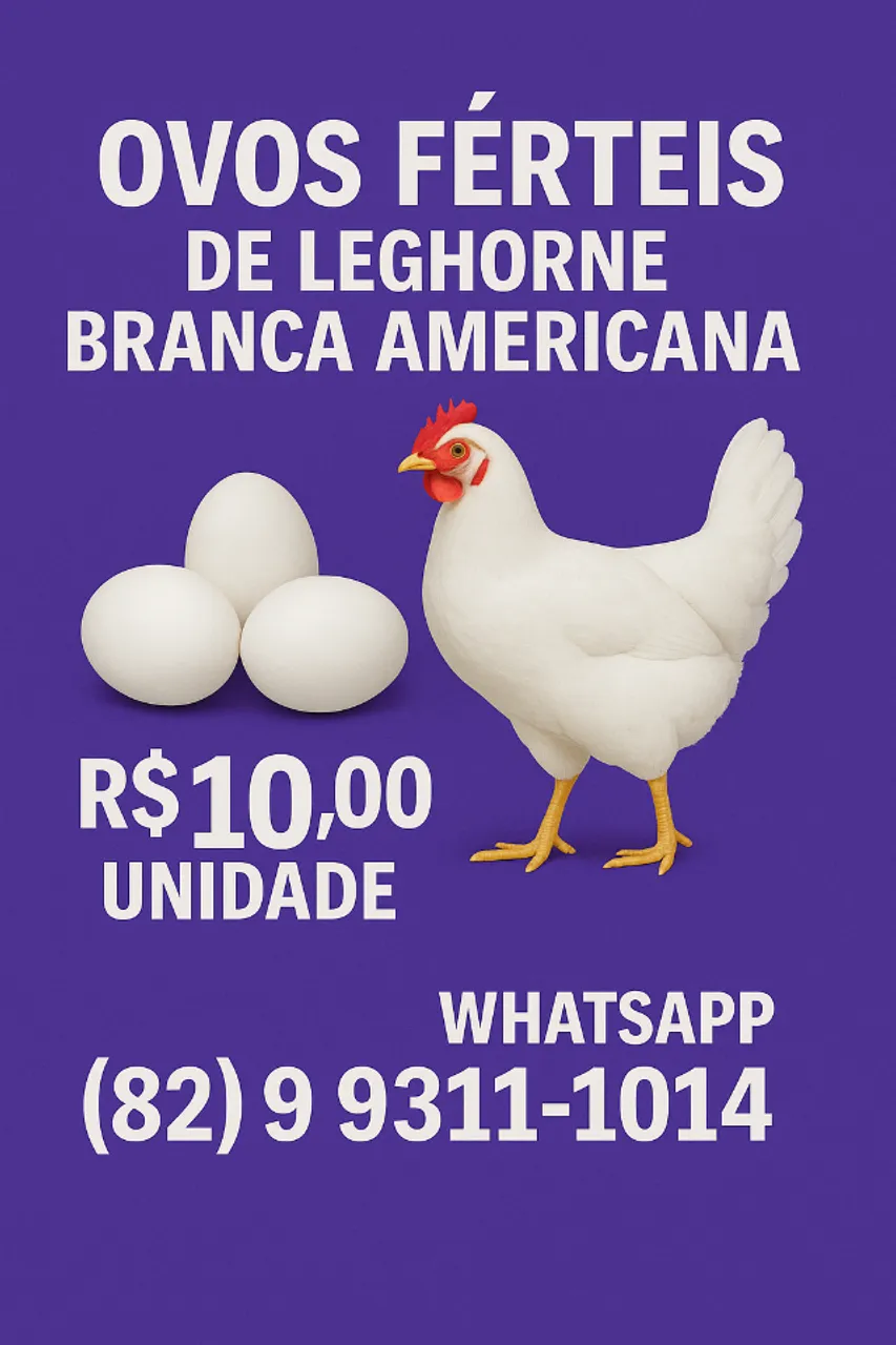 OVOS FÉRTEIS - LEGHORNE BRANCA AMERICANA