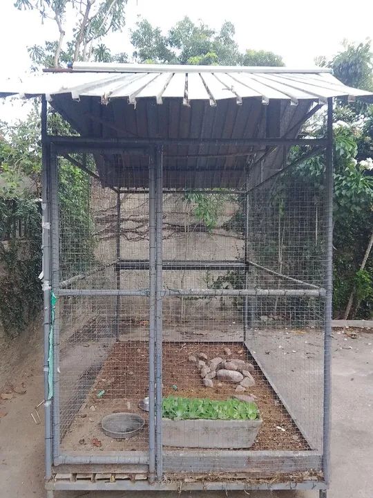 Viveiro para passaros  - Foto 3