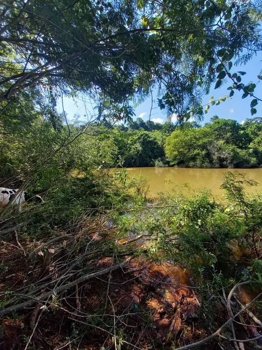 Vende lote no alagado de nova prata do iguacu  - Foto 2
