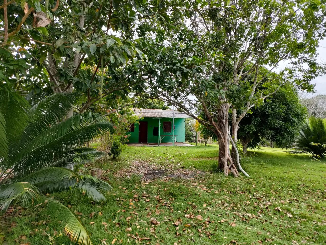 SITIO A VENDA