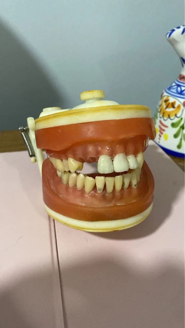 Manequim odontológico para treinamento
