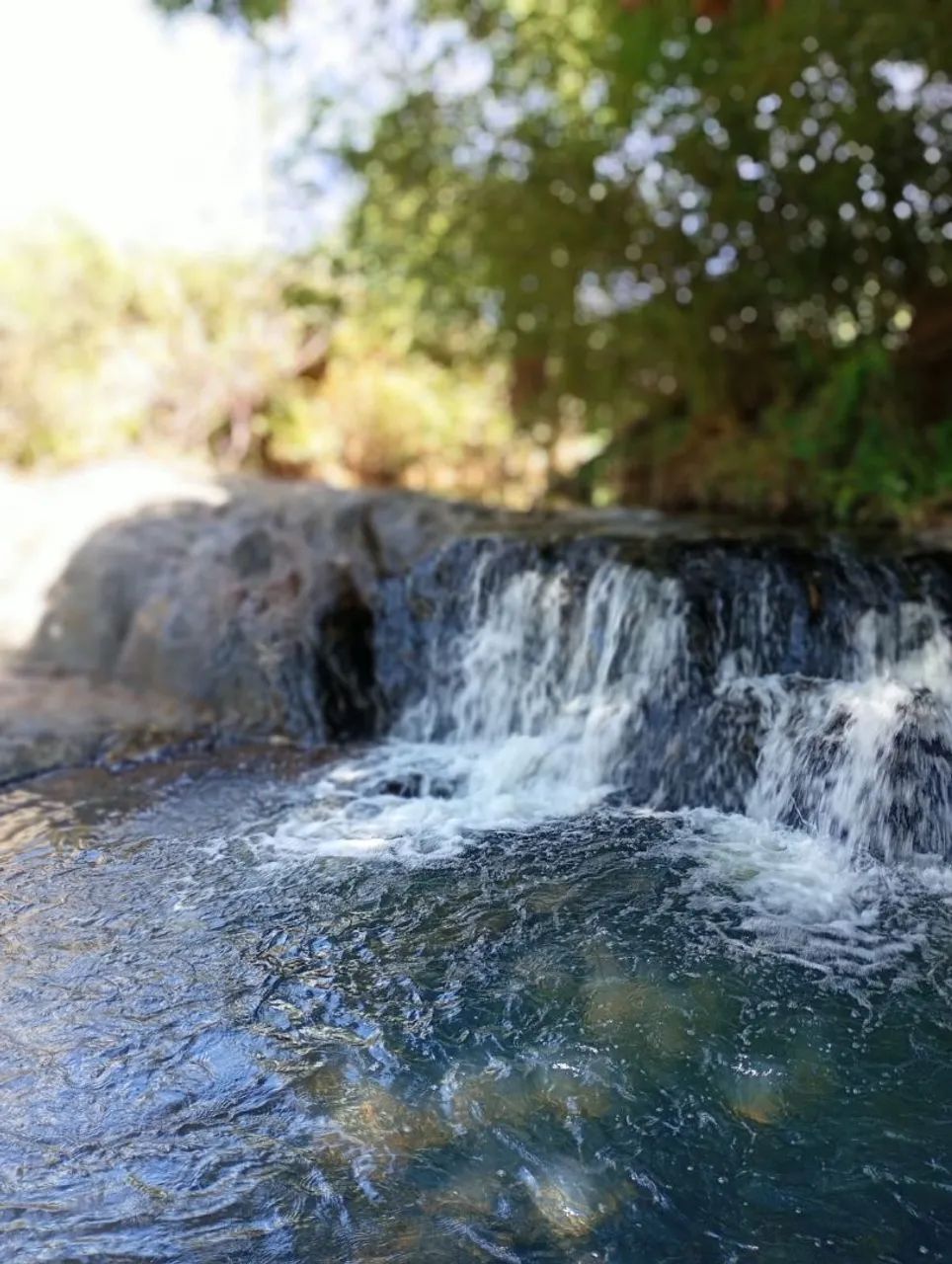 Terreno com cachoeira em florestal 