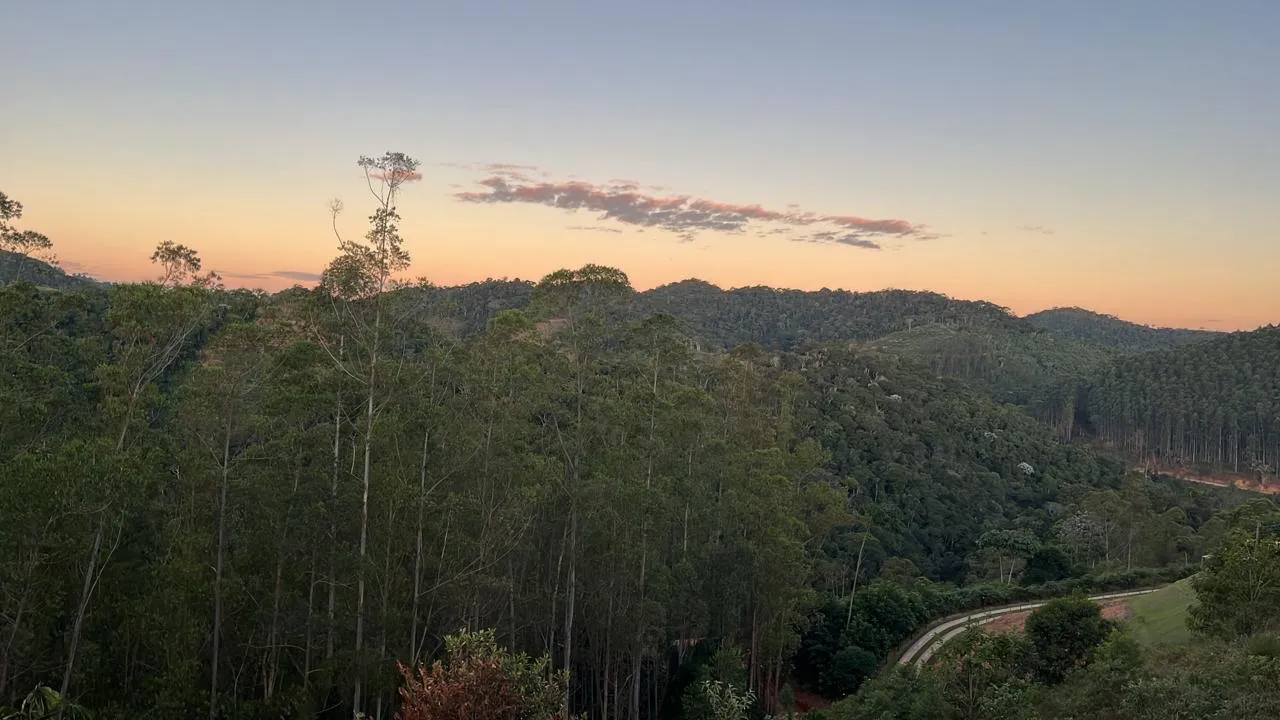 Terreno em soido de baixo