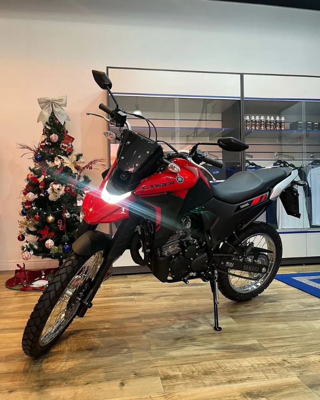 LANDER 250  - Foto 5