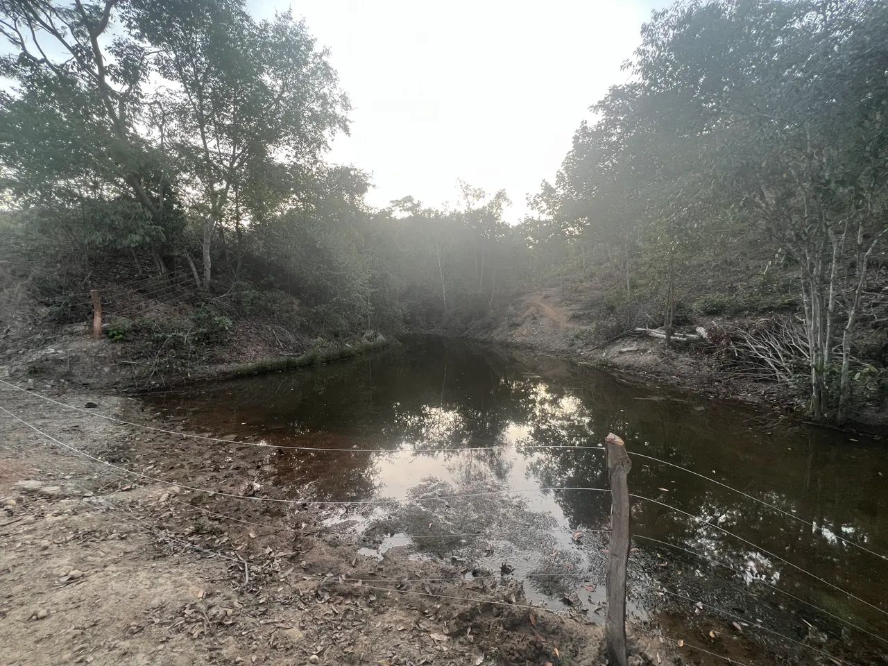 Vendo sítio de 24 alqueiros rico em água a apenas 18km da cidade de Minaçu Go - Foto 10