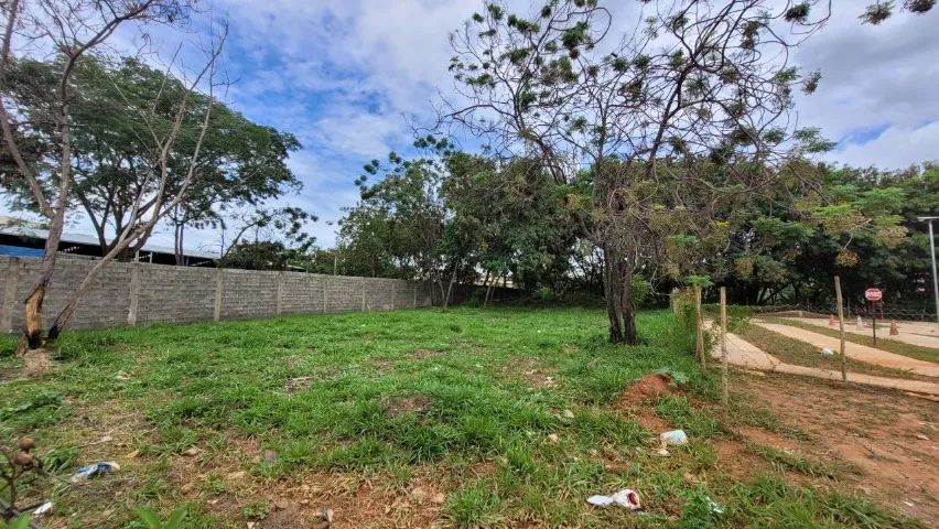 Lote com 1.156 m², excelente topografia, c/ projet - Foto 3