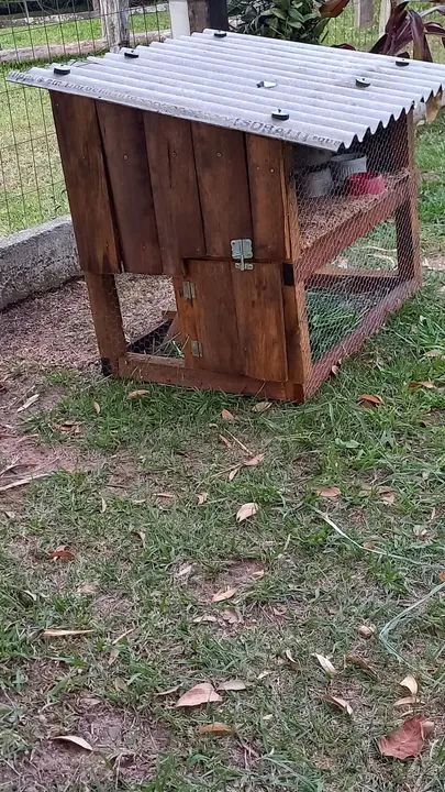 Gaiola  em madeira - Foto 3