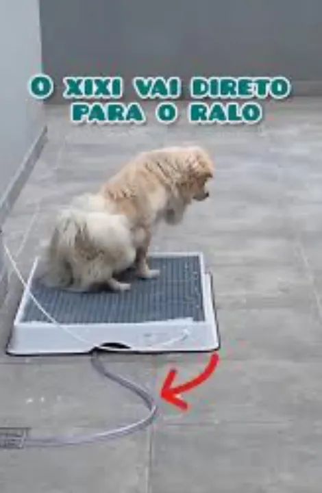 Banheiro inteligente (Weasydog) - Foto 5