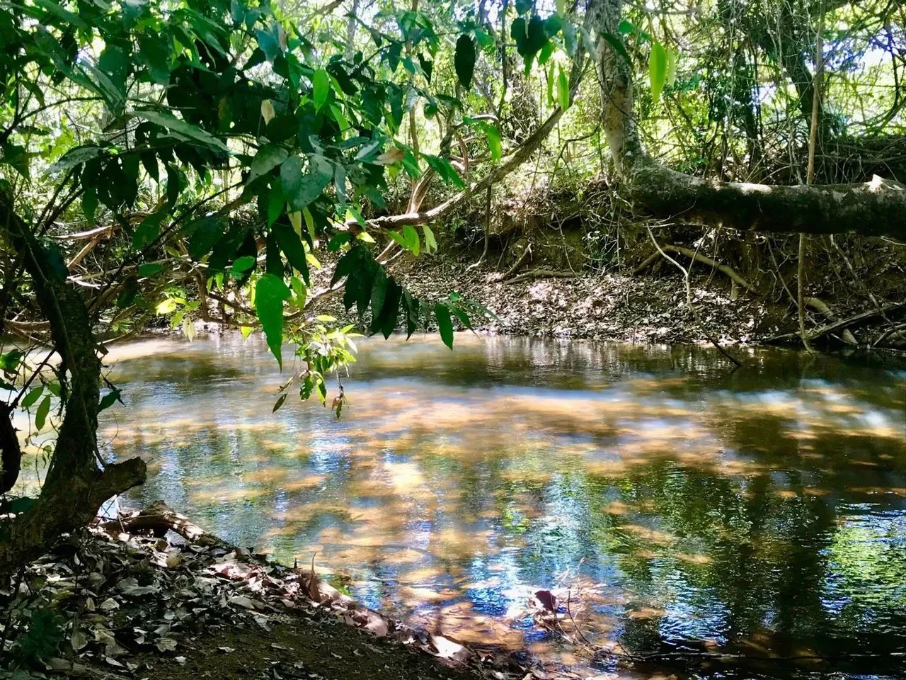 chacara proxima a Goiania saida para Bela Vista