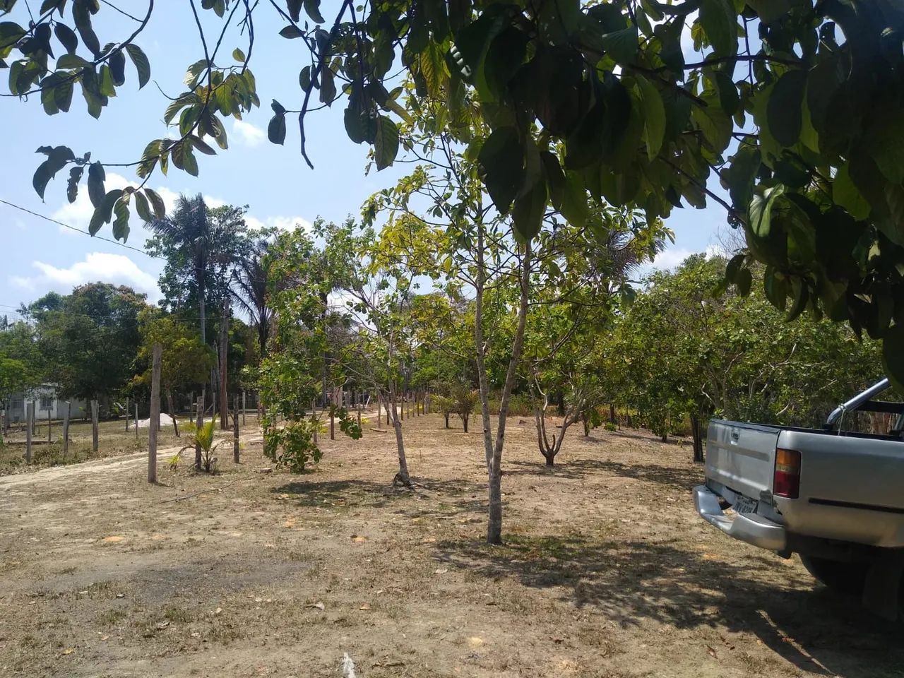 Alugo área de 6.000 M2 plantação  - Foto 3