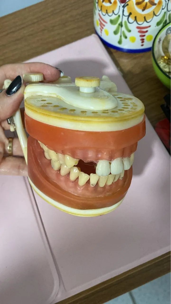 Manequim odontológico para treinamento - Foto 3