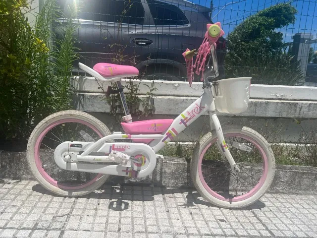 Bicicleta Mystic Treck