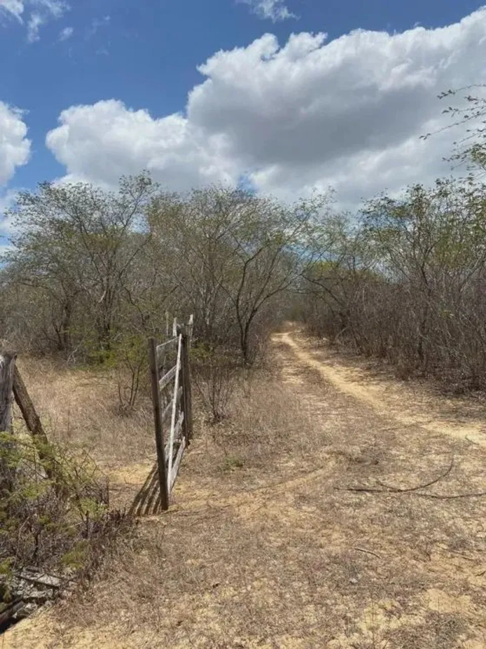 fazenda com 395 hectares na região de Guamaré