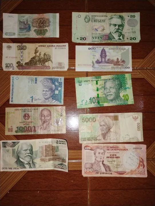Colecionador cédulas 