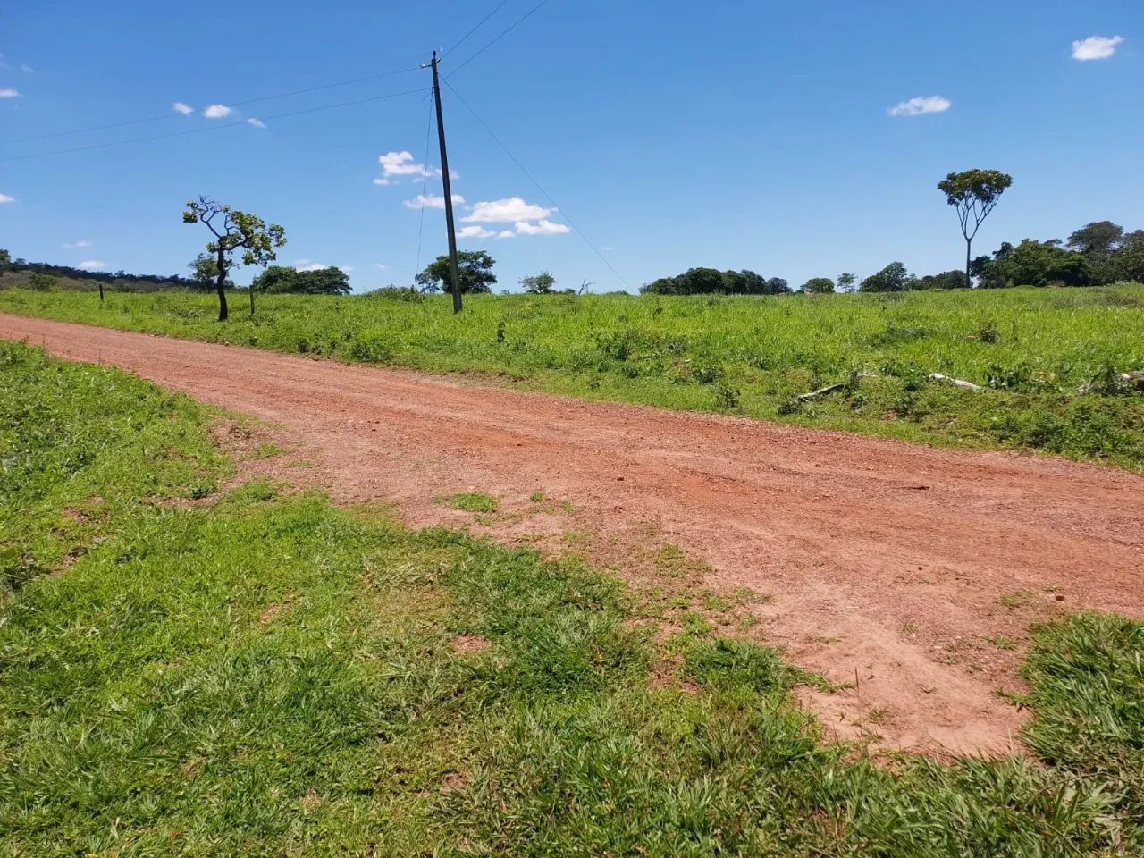 Fazenda Bela vista - Foto 4
