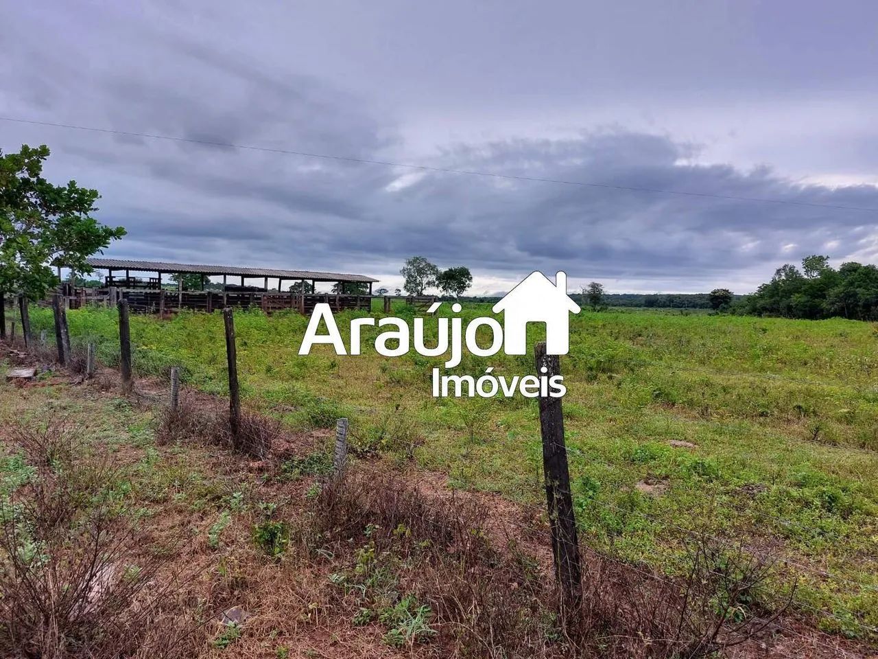 Fazenda, Setor Central, Divinópolis do Tocantins - R$ 17 mi, Cod: 2463 - Foto 4