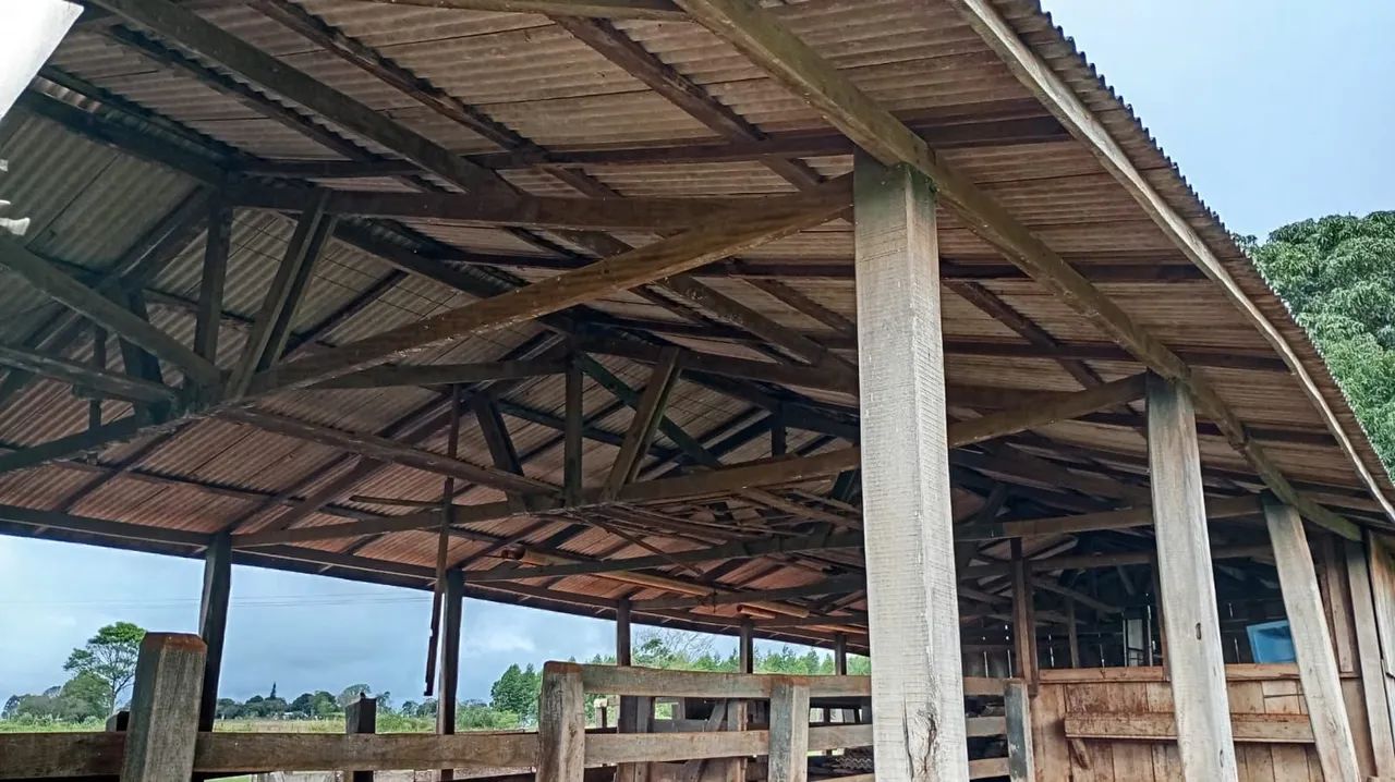 Madeiras Rústicas de Demolição - Tábuas, Palanques, Caibros e Vigas<br> - Foto 3