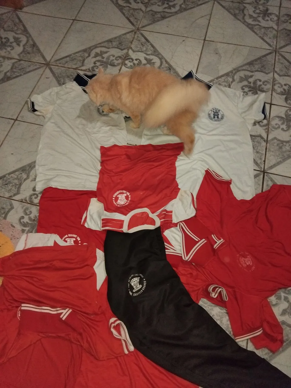 Doação, Uniformes do marechal castelo Branco