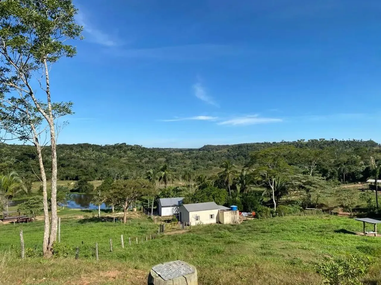 Fazenda à Venda 118 hectares em Dom Aquino-MT.