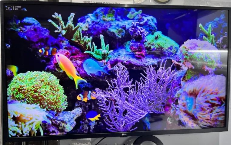 Smart TV UHD 4K LED IPS 43? LG 43UN7300PSC Wi-Fi