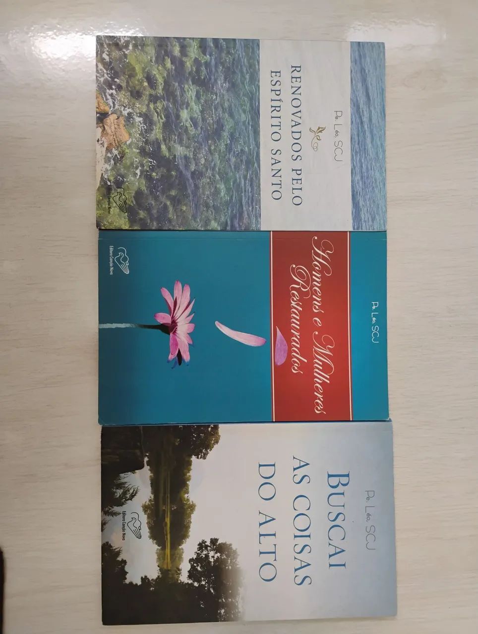 Kit livros Pe Léo