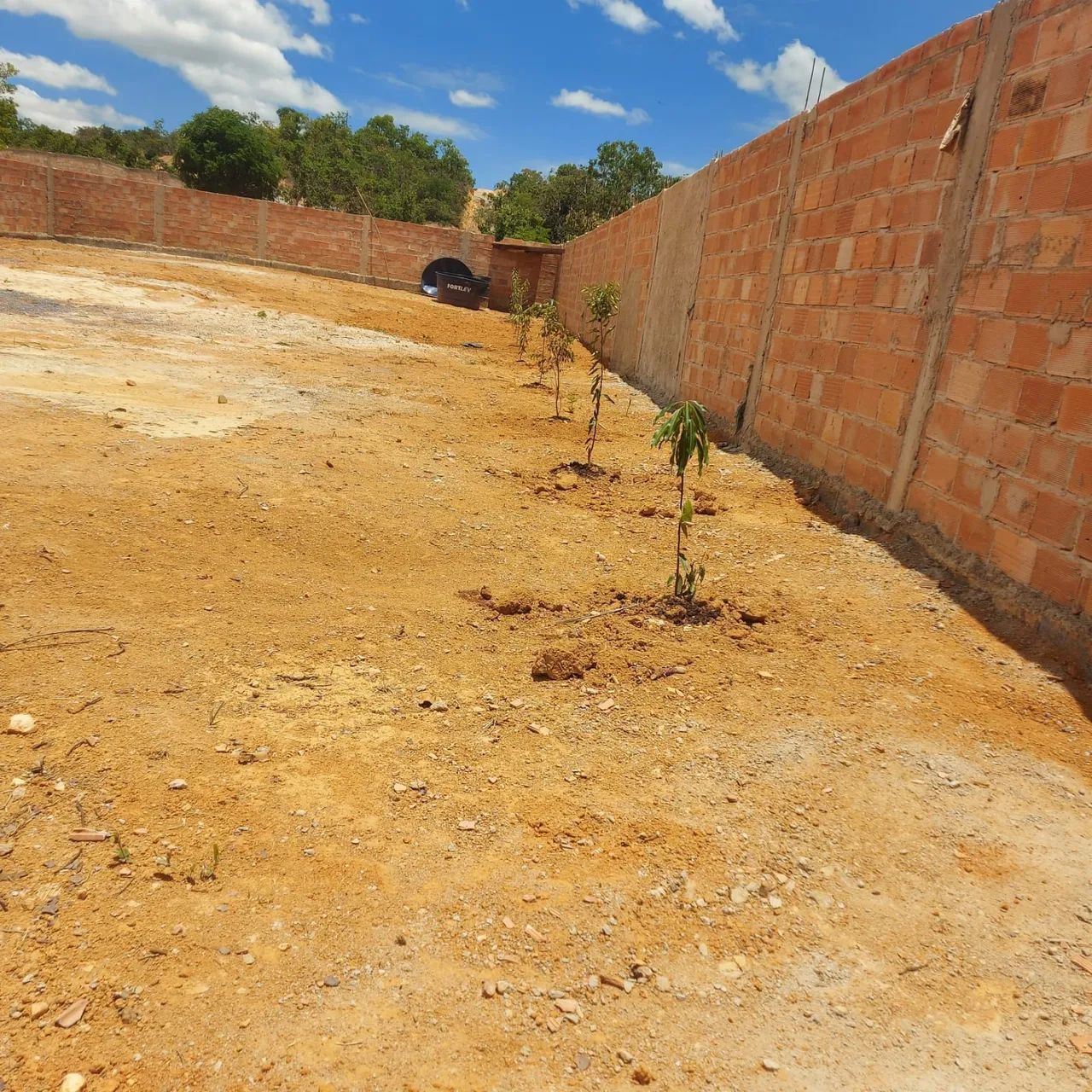 Lote  - Foto 3