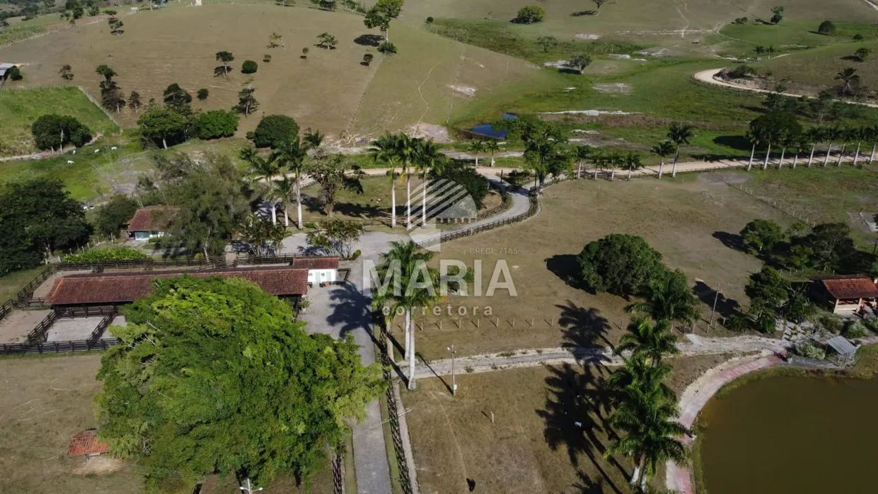 Fazenda à venda com 300 hectares com excelente acesso e uma extraordinária vista!! - Foto 4