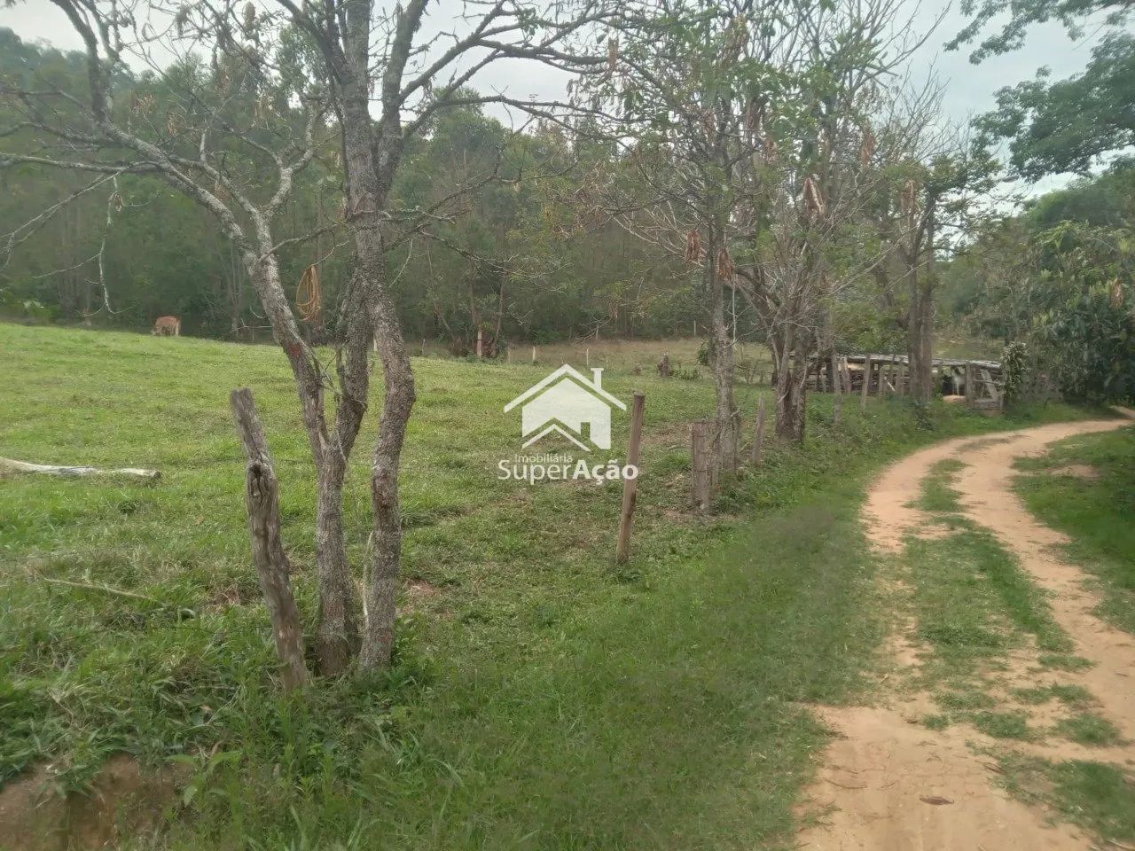 Área Rio Acima ll 5 Alqueires 121 Mil M²- Atibaia. - Foto 5