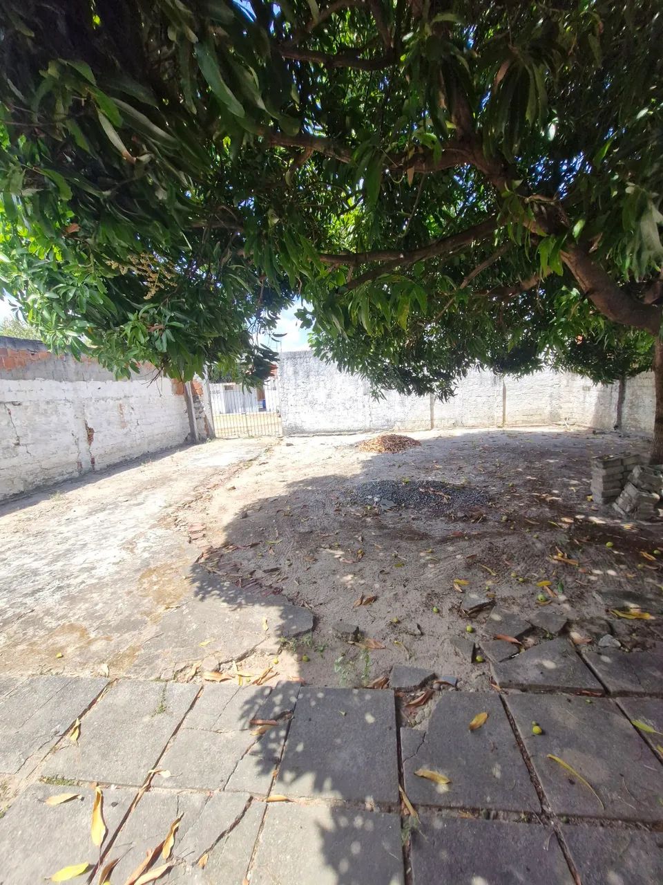 Casa à venda em jaguaribe itamaracá - Foto 3